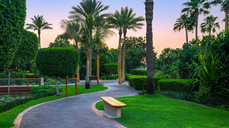 Grand Hyatt Dubai Resort & Waterpark